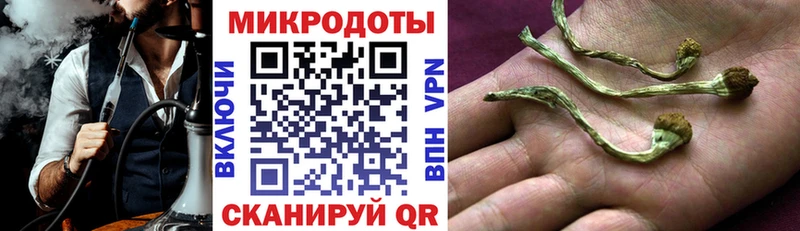 купить закладку  Меленки  Псилоцибиновые грибы Cubensis 